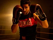 Boxing Gloves Venum