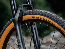 Bike Tires and Tubes