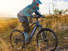 Electric Bicycles