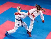 Karate Guards