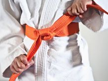 Karate Belts