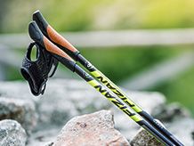 Trekking poles