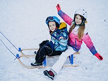 Wooden Sleds