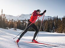 Cross-Country Ski Poles