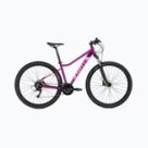 Mountain bikes