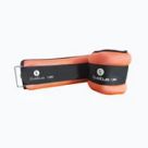 Wrist and ankle weights