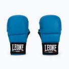 Karate gloves