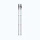 Trekking poles