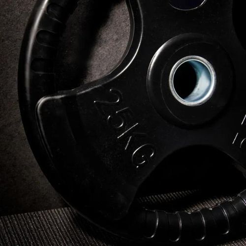 TREXO black rubberised cast iron weight RW25 25 kg