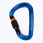Mammut Classic HMS Screwgate carabiner blue
