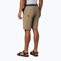 Columbia Tech Trail 221 men's trekking shorts beige 1883371 2