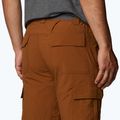 Columbia Silver Ridge II Cargo 235 brown men's trekking shorts 1794921 5