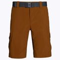Columbia Silver Ridge II Cargo 235 brown men's trekking shorts 1794921 6