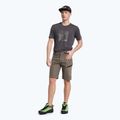 Salewa Lavaredo Hemp men's hiking shorts brown 00-0000028033 2