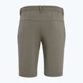 Salewa men's hiking shorts Talveno DST brown 00-0000027064 5
