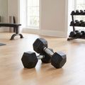 XTREXO Hex HXD150 rubberised dumbbell 15 kg 3