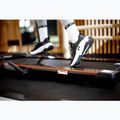 XTREXO Walking Pad W150 electric treadmill black 9