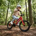 Children's bicycle ATTABO EASE 16" red 6