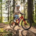 Children's bicycle ATTABO EASE 20" red 4