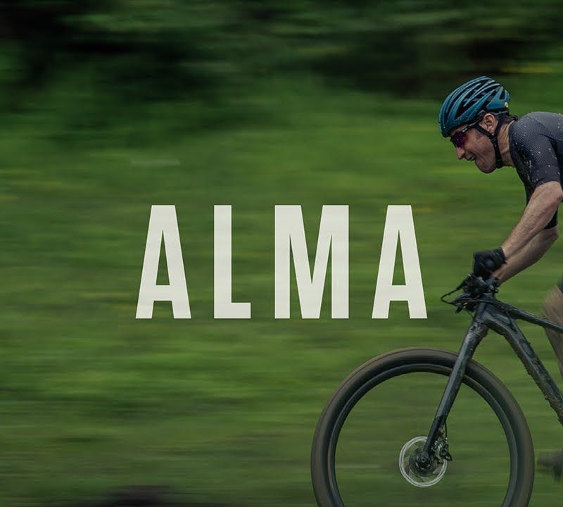 Orbea Alma H50 blue/red mountain bike L22016L1 15