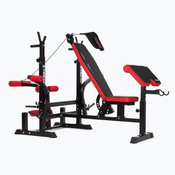 XTREXO BenchFit Max training bench with stand and prayer bar black